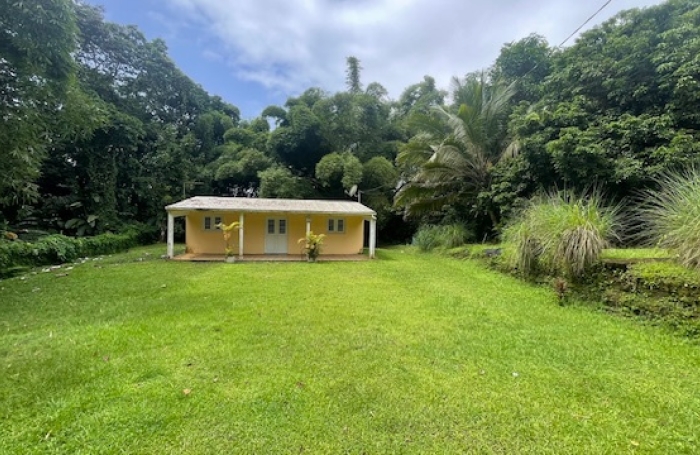 Ensemble immobilier une maison F4 avec une d&eacute;pendance F3 sur un grand terrain - AJOUPA BOUILLON