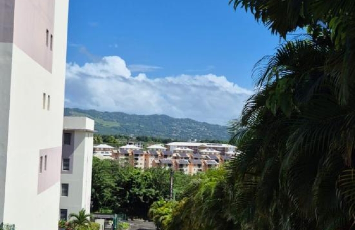 Vente Appartement 40.98m&sup2; 2 pièces Le Lamentin