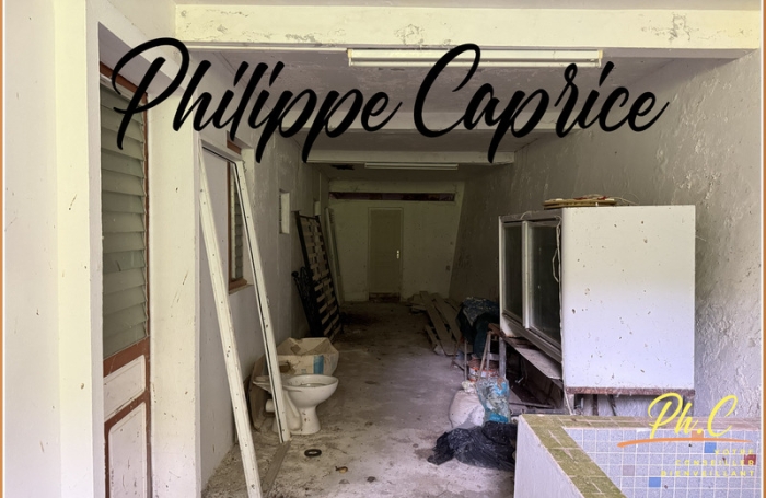 Vente Maison 569m&sup2; 22 pièces La Trinit&eacute;