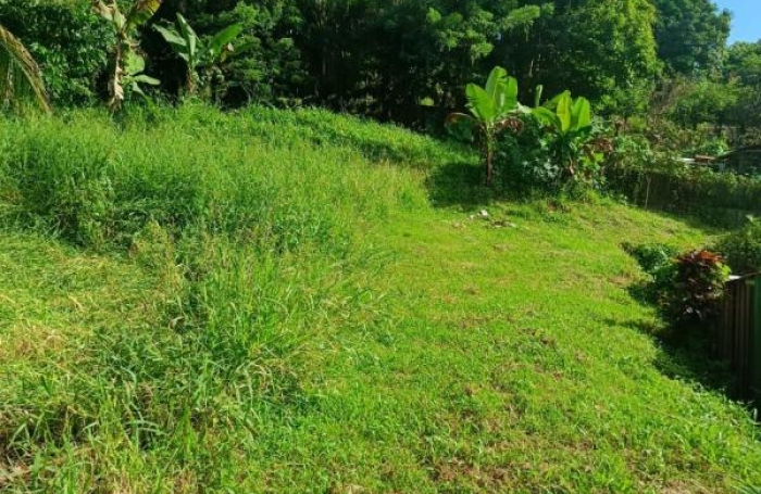 Vente Terrain 567m&sup2; Sainte Luce
