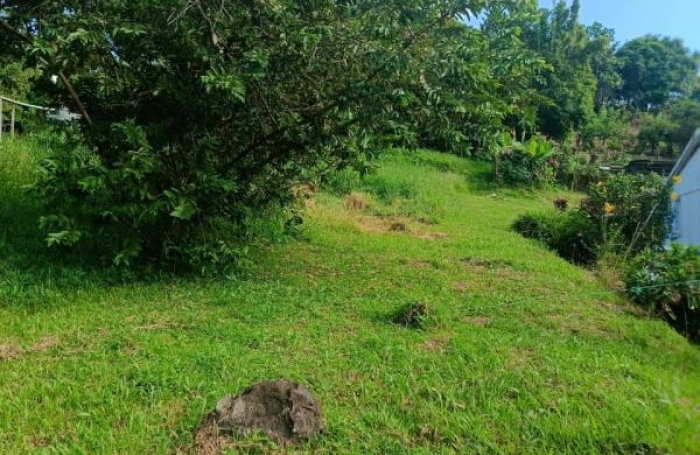 Vente Terrain 567m&sup2; Sainte Luce