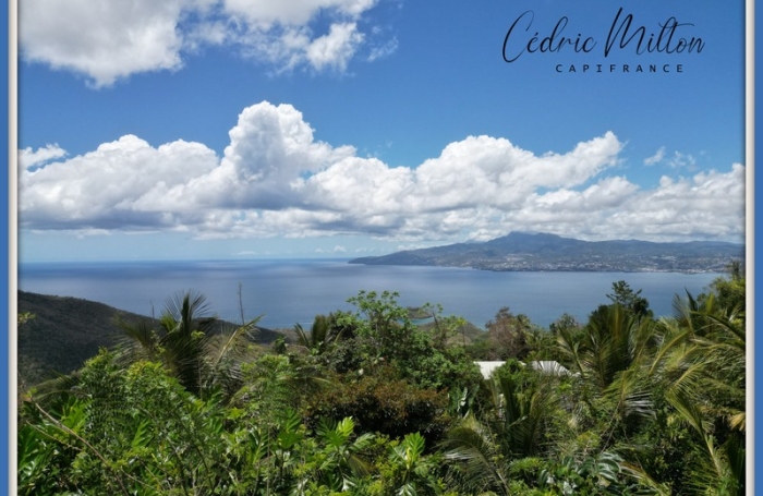 Vente Terrain 97217