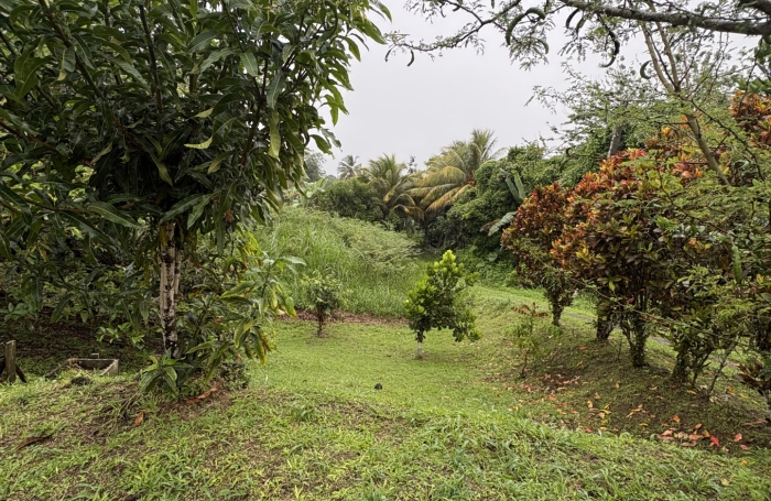 &Agrave; VENDRE : Charmante maison familiale &agrave; Basse-Pointe