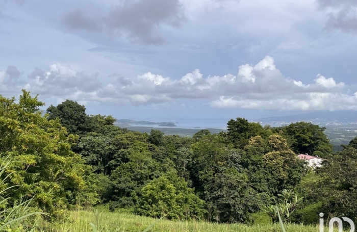 Vente Terrain 500m&sup2; Rivi&egrave;re Pilote