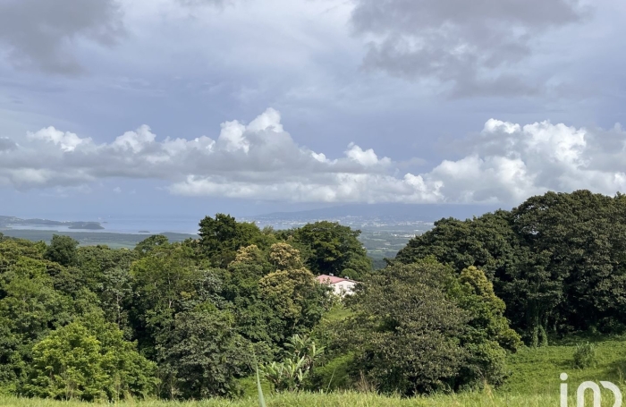 Vente Terrain 500m&sup2; Rivi&egrave;re Pilote