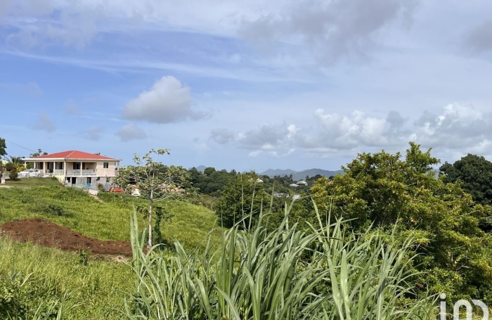 Vente Terrain 500m&sup2; Rivi&egrave;re Pilote