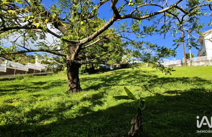 Vente Terrain 1013m&sup2; Schoelcher