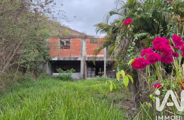 Vente Immeuble 365m&sup2; Le Diamant