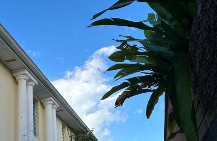 Vente Immeuble Les Trois Ilets