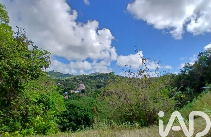 Vente Terrain 97211