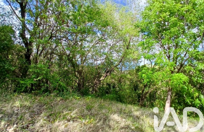 Vente Terrain 11000m&sup2; Rivi&egrave;re Pilote