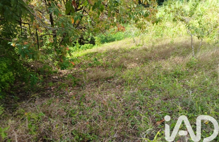Vente Terrain 11000m&sup2; Rivi&egrave;re Pilote
