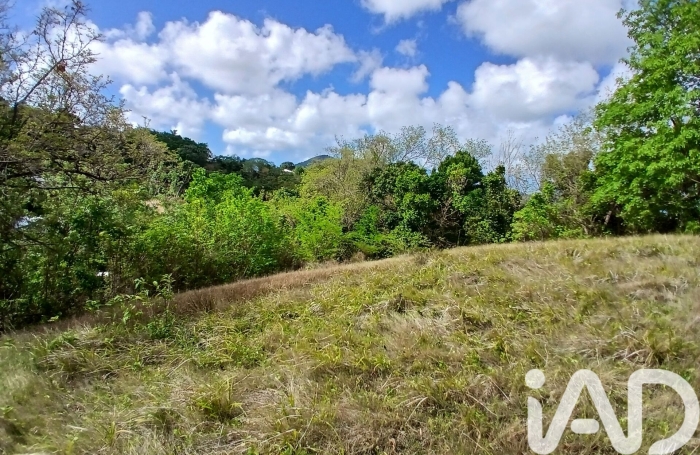 Vente Terrain 11000m&sup2; Rivi&egrave;re Pilote