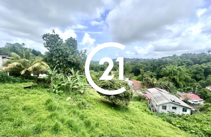 Location Appartement 97230