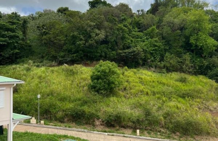 Vente Terrain 570m&sup2; Ducos