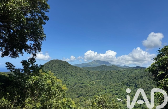 Vente Maison 235m&sup2; 3 pièces Le Morne Vert