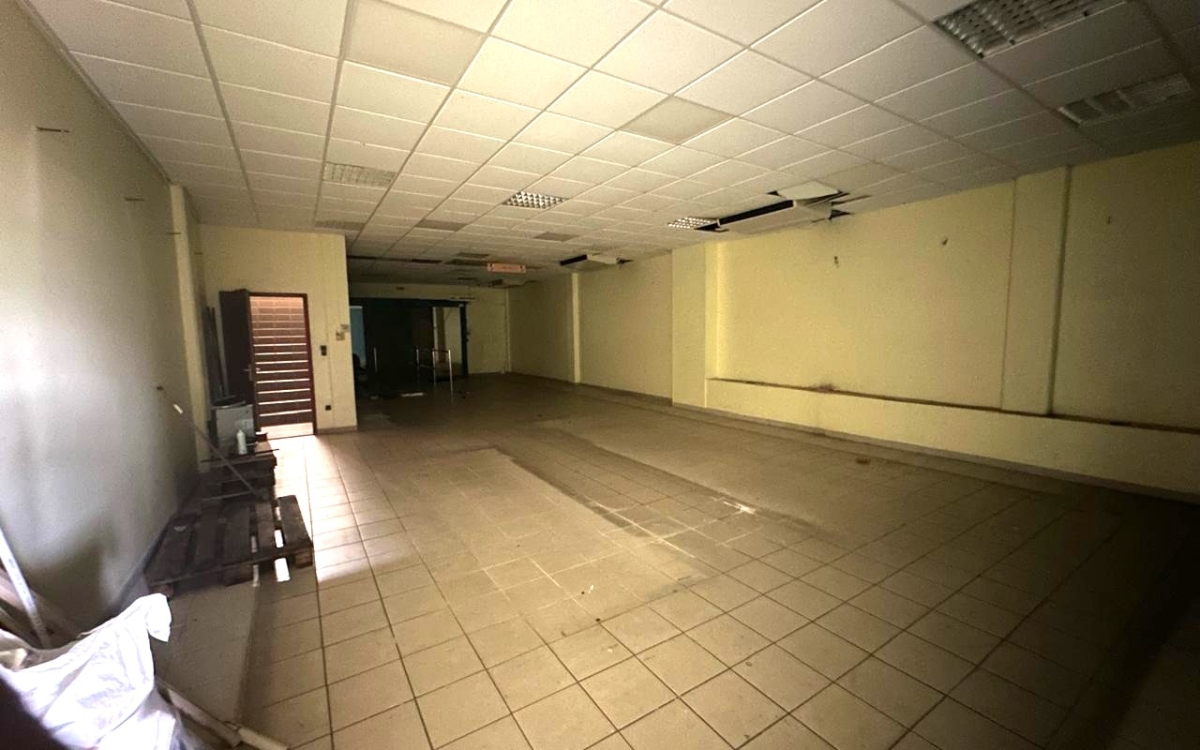 Location Local d&rsquo;activit&eacute; 97290