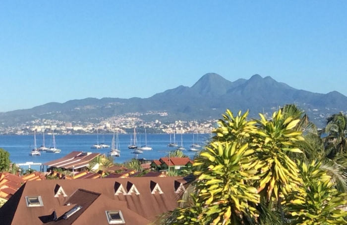 Appt T2 les pieds dans l'eau ANSE MITAN