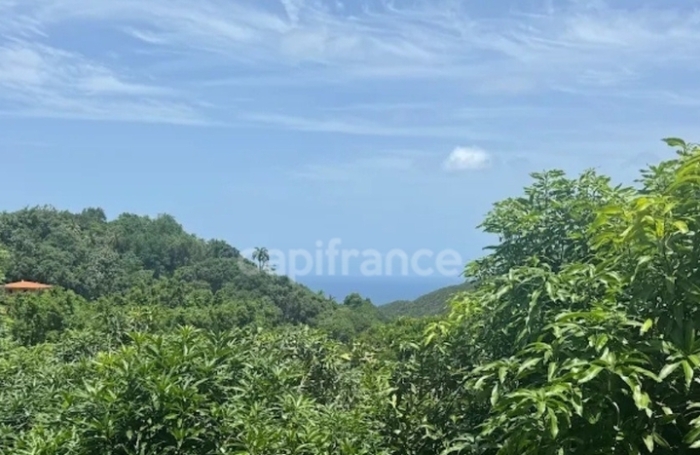 Vente Local commercial 300m&sup2; 7 pièces Le Marin