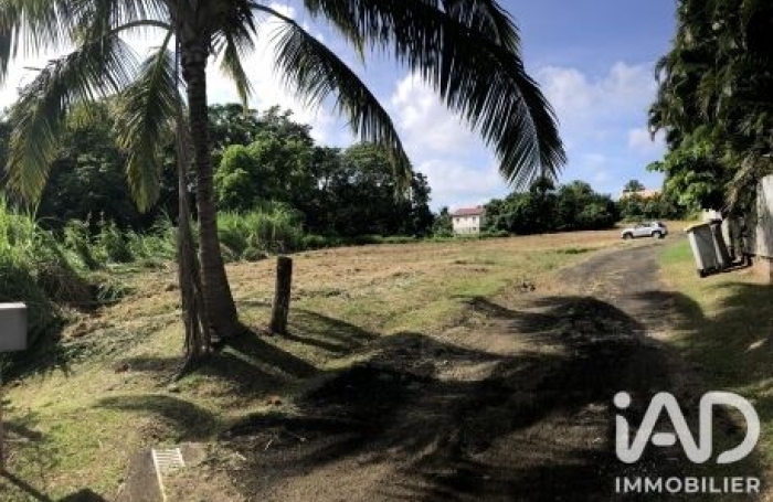 Vente Terrain 97232