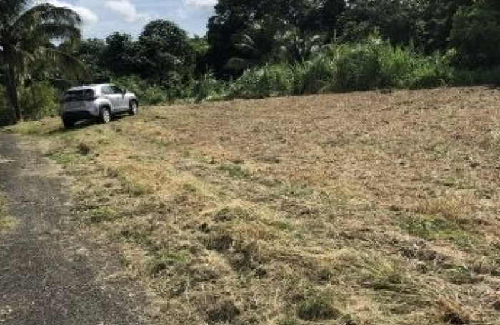 Vente Terrain 1992m&sup2; Le Lamentin
