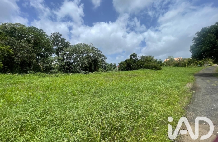 Vente Terrain 1992m&sup2; Le Lamentin