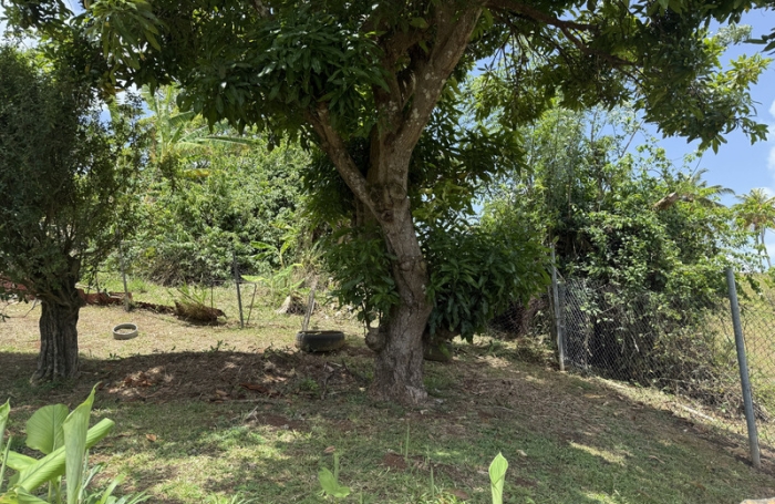 Vente Maison 152m&sup2; 7 pièces Le Fran&ccedil;ois