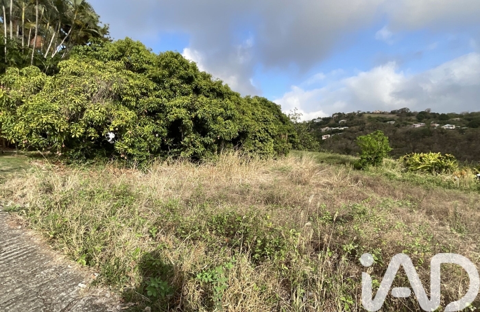 Vente Terrain 819m&sup2; Le Carbet