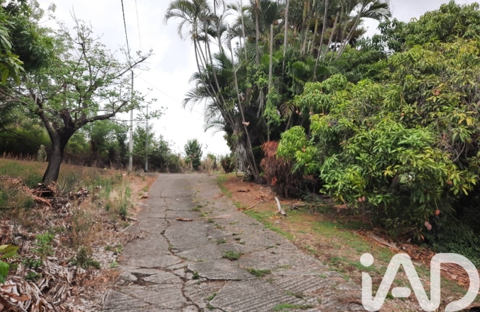Vente Terrain 819m&sup2; Le Carbet