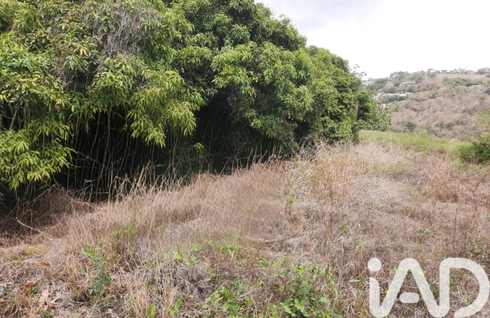Vente Terrain 819m&sup2; Le Carbet
