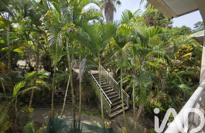 Vente Appartement 24m&sup2; 1 pièce Sainte Marie