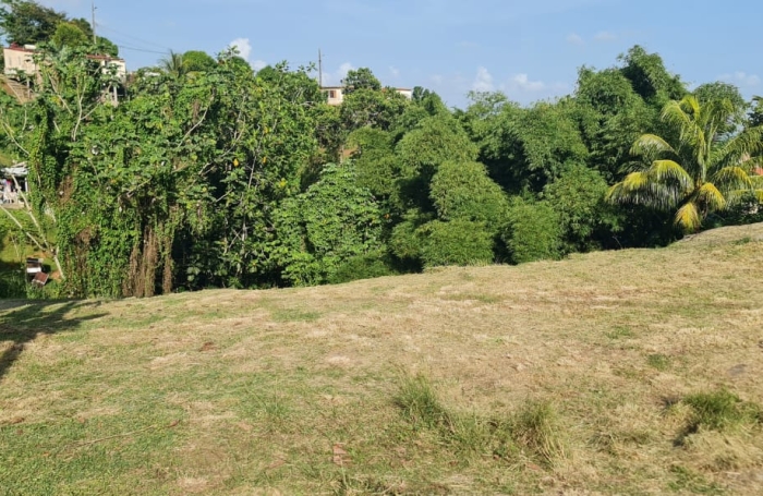 Terrain &agrave; vendre BALATA  - FORT-DE-FRANCE