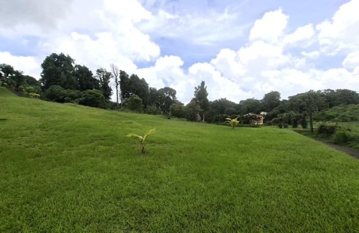 Vente Terrain 97213