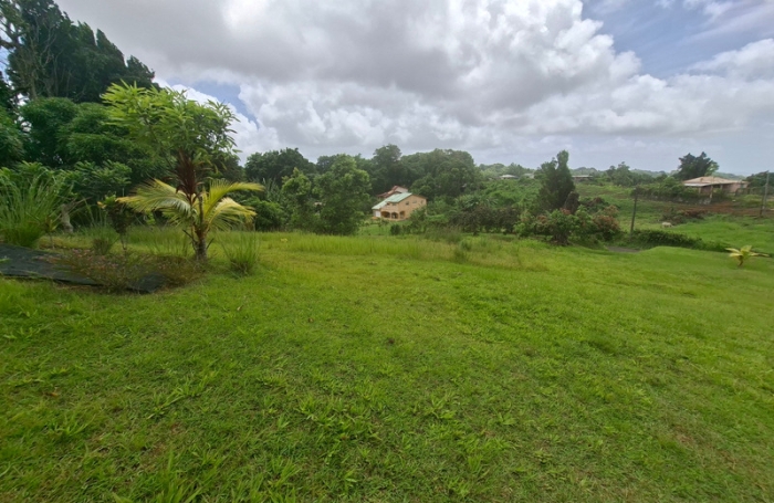 Vente Terrain 4435m&sup2; Gros Morne