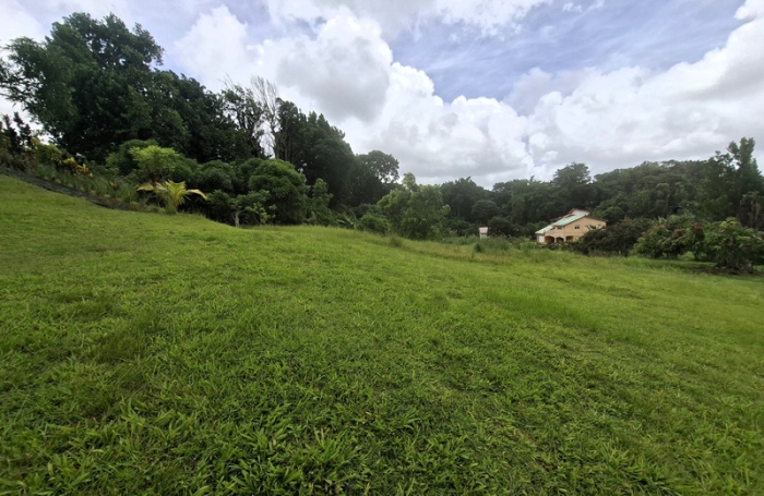 Vente Terrain 4435m&sup2; Gros Morne