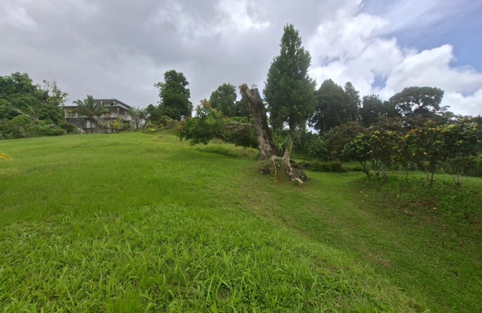 Vente Terrain 4435m&sup2; Gros Morne