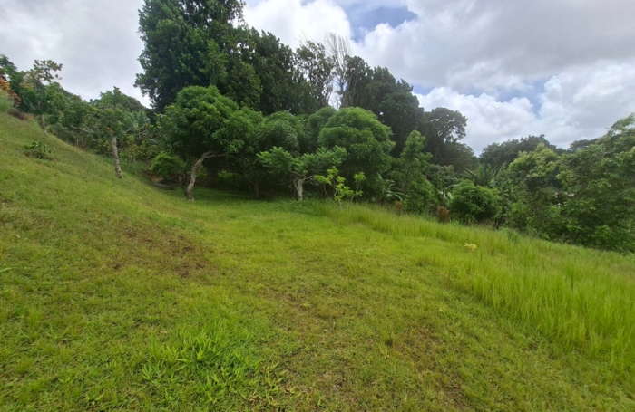 Vente Terrain 4435m&sup2; Gros Morne