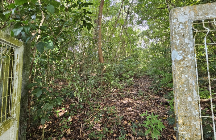 Vente Terrain 97228
