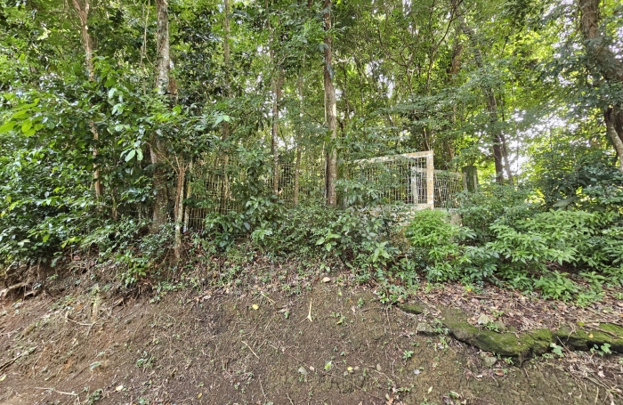Terrain &agrave; b&acirc;tir de 20.000 m2 dont 3.500 m2 constructibles