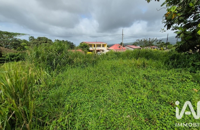 Vente Terrain 1142m&sup2; L'Ajoupa Bouillon