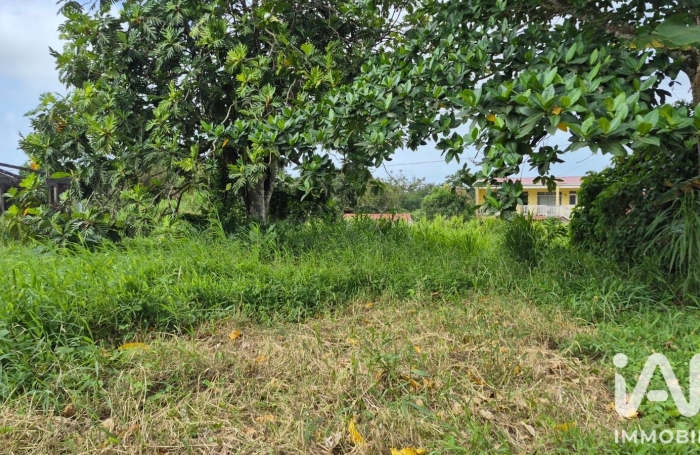 Vente Terrain 1142m&sup2; L'Ajoupa Bouillon