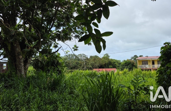 Vente Terrain 1142m&sup2; L'Ajoupa Bouillon