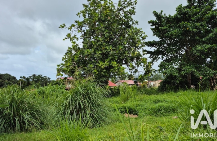 Vente Terrain 1142m&sup2; L'Ajoupa Bouillon