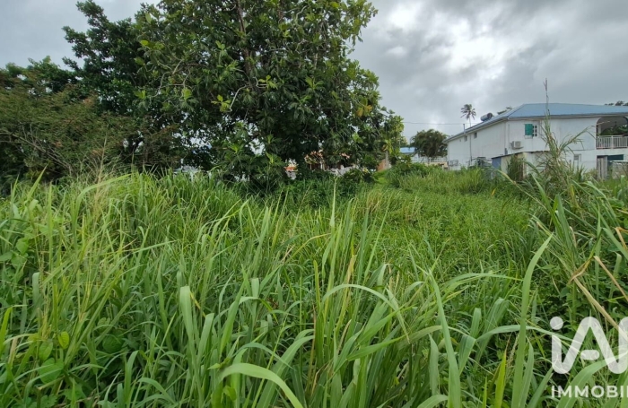 Vente Terrain 1142m&sup2; L'Ajoupa Bouillon