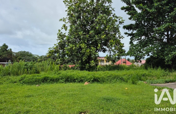 Vente Terrain 1142m&sup2; L'Ajoupa Bouillon