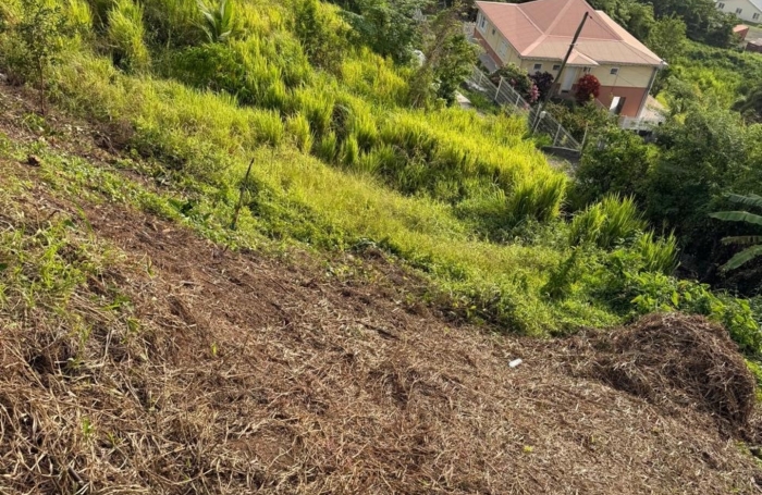 Vente Terrain 450m&sup2; La Trinit&eacute;