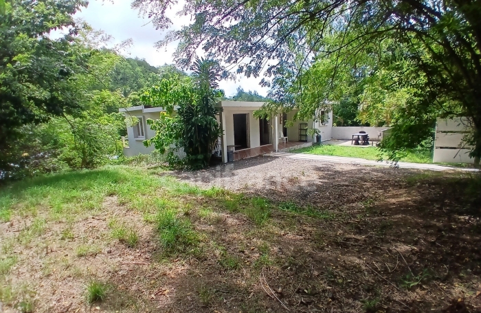 Vente Immeuble 97228