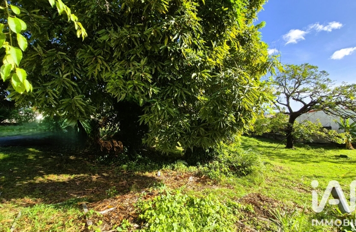 Vente Terrain 507m&sup2; Schoelcher