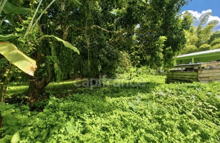 Vente Terrain 729m&sup2; L'Ajoupa Bouillon