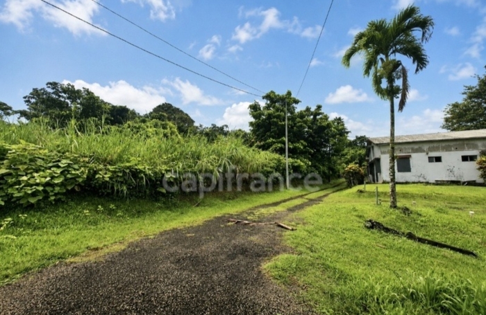 Vente Terrain 729m&sup2; L'Ajoupa Bouillon
